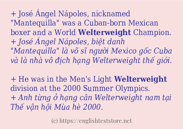 welterweight sử dụng như thế nào và câu ví dụ