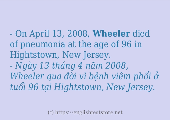 wheeler câu ví dụ và cách dùng