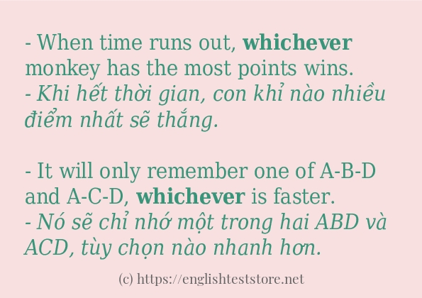 whichever cách dùng trong câu và ví dụ whichever cách dùng trong câu và ví dụ