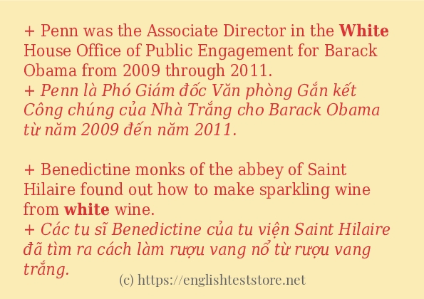 white cách sử dụng trong câu và ví dụ