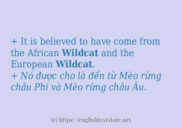 wildcat cách dùng và ví dụ trong câu wildcat cách dùng và ví dụ trong câu