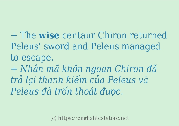 wise câu ví dụ về cách dùng