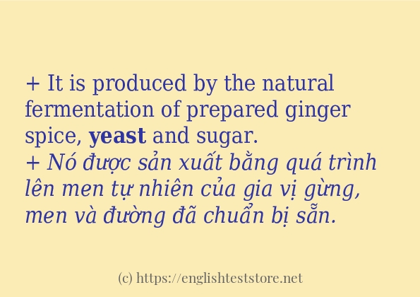 yeast áp dụng trong câu và ví dụ yeast áp dụng trong câu và ví dụ