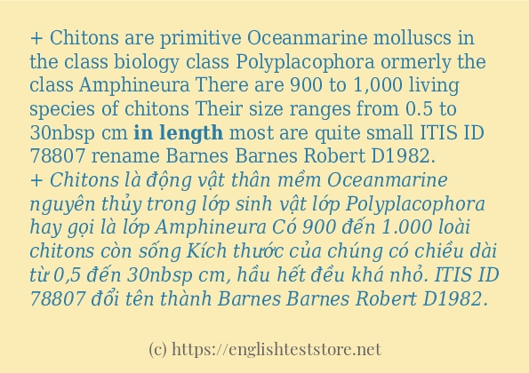 Các cách dùng từ in length