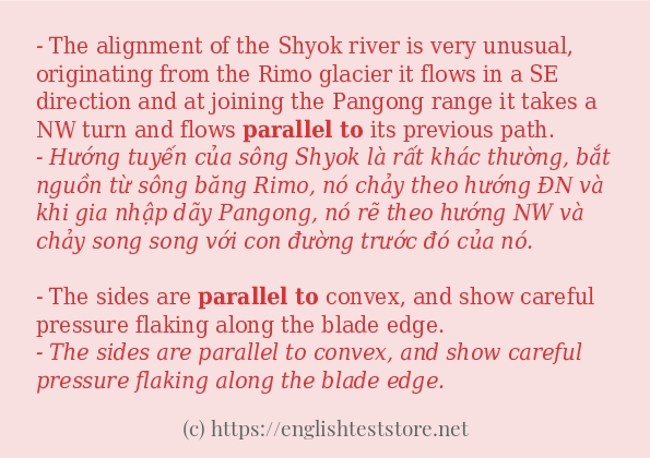 Cách dùng và câu ví dụ của từ parallel to