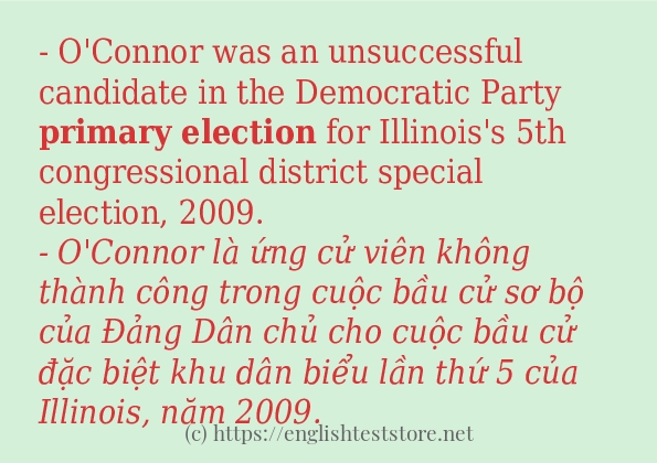 Cách dùng và câu ví dụ của từ primary election