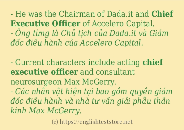 chief executive officer sử dụng như thế nào?