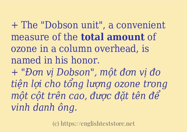 total amount câu ví dụ và cách sử dụng
