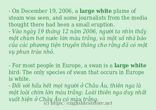Các cách dùng từ Large white