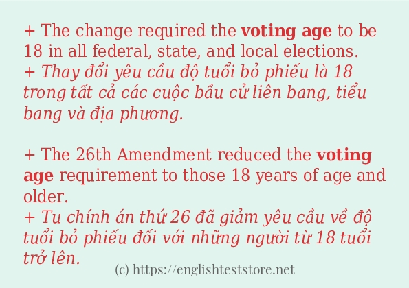 Câu ví dụ của từ voting age