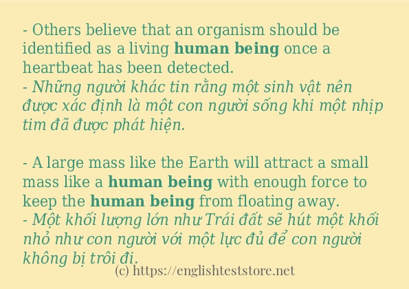 human being sử dụng thực tế trong câu