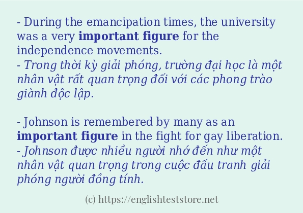 important figure sử dụng thực tế trong câu