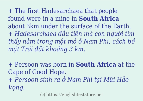 South Africa cách sử dụng và câu ví dụ