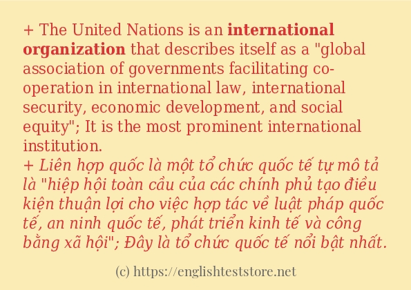 international organization ví dụ cách dùng trong câu