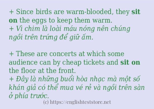 sit on dùng như thế nào?