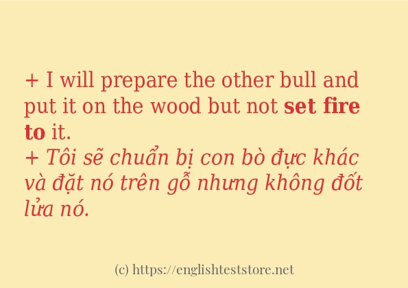 Câu ví dụ của từ set fire to