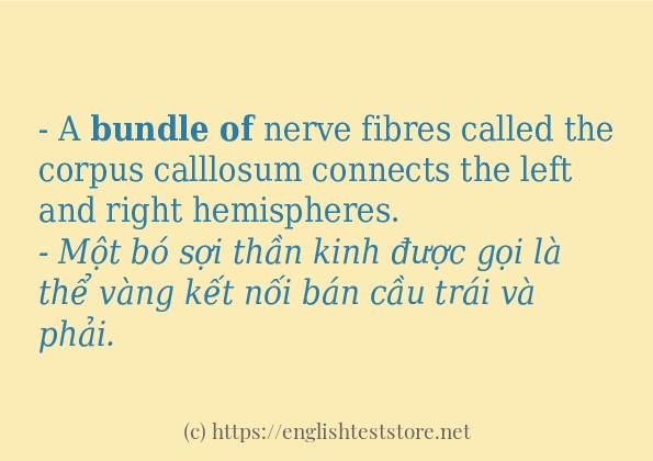 Cách sử dụng và câu ví dụ của từ bundle of