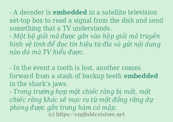 Các cách dùng từ embedded