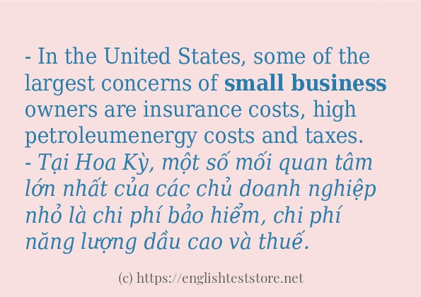 Các câu ví dụ của từ small business