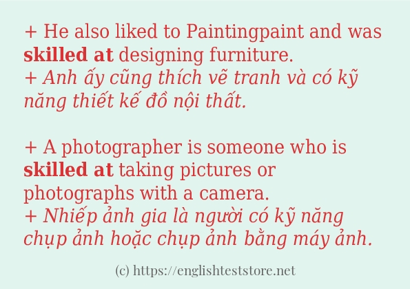 Các câu ví dụ của từ skilled at