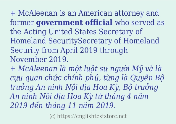Cách dùng và câu ví dụ của từ government official