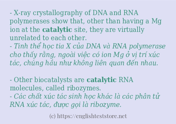 catalytic sử dụng thực tế trong câu