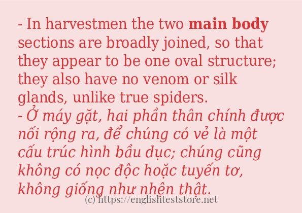 main body có bao nhiêu cách dùng?