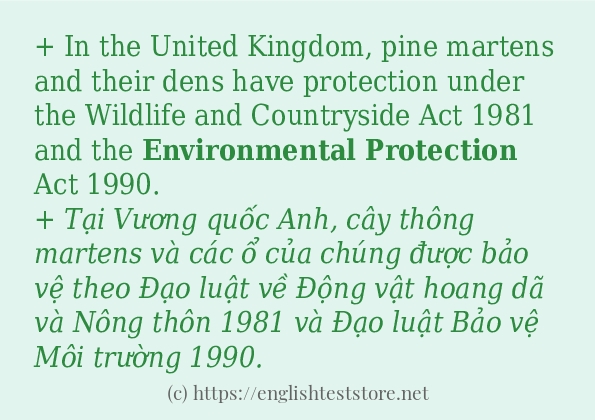 Các cách dùng từ environmental protection