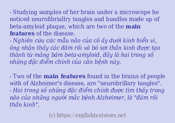 Các câu ví dụ và cách sử dụng từ main features