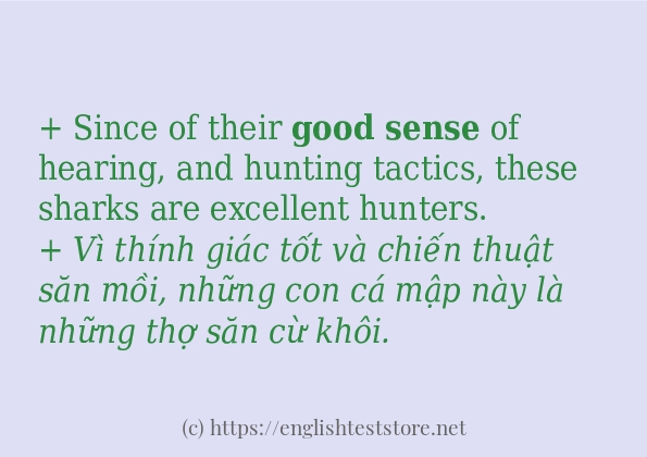 Good sense có bao nhiêu cách dùng?