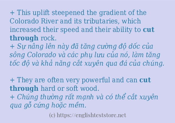 Các câu ví dụ của từ cut through