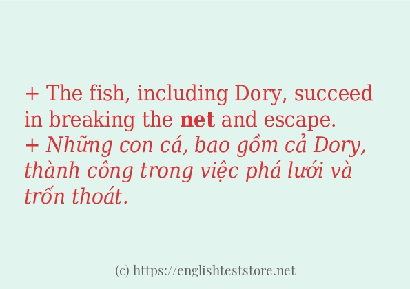 Net cách dùng và câu ví dụ