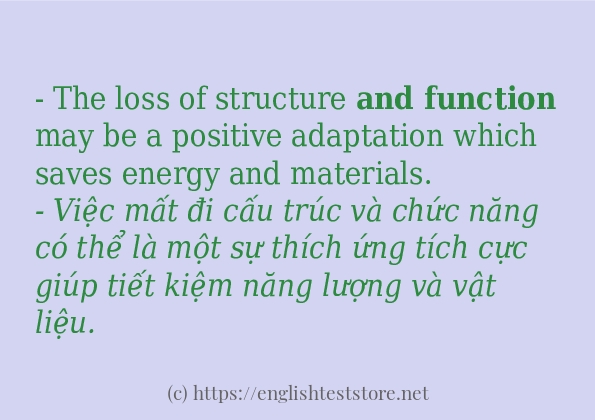 and function cách dùng trong câu và ví dụ