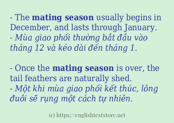 Các câu ví dụ và cách dùng từ mating season