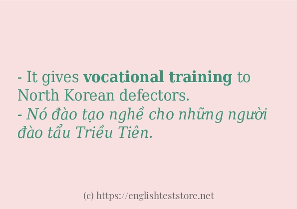 Các câu ví dụ và cách dùng từ vocational training