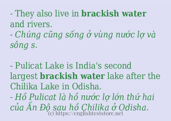 Câu ví dụ của từ brackish water