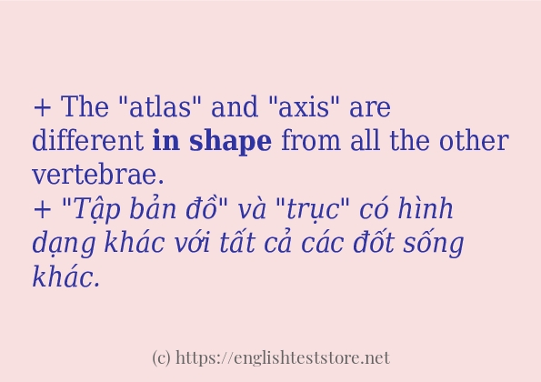 in shape câu ví dụ và cách dùng