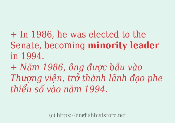 Các cách dùng từ minority leader
