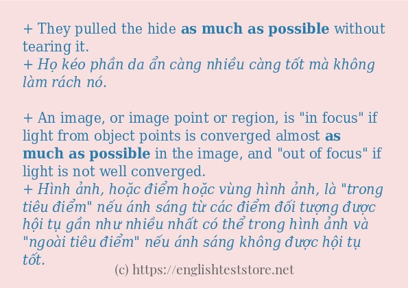 Các câu ví dụ của từ as much as possible