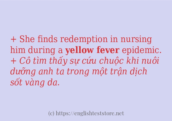 Yellow fever câu ví dụ về cách dùng