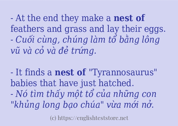 Các cách dùng từ nest of