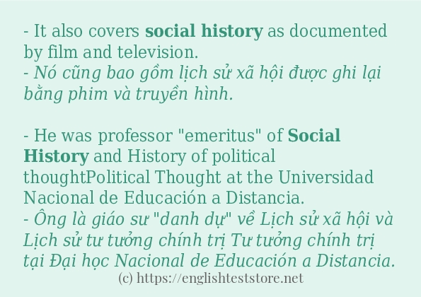 Các câu ví dụ của từ social history