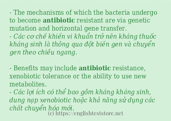 Cách dùng từ antibiotic