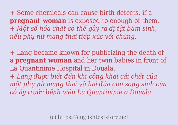 Câu ví dụ của từ pregnant woman