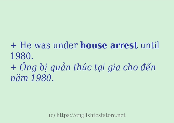 House arrest cách dùng và ví dụ trong câu